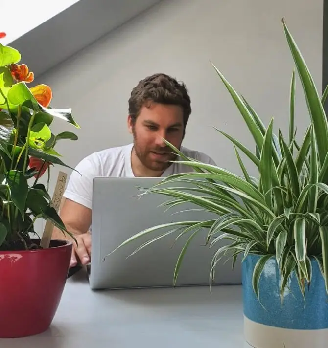 Christoph erstellt Webseiten für die Gesundheitsbranche